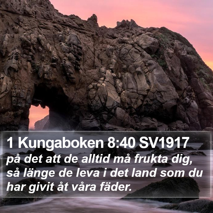 1 Kungaboken 8:40 SV1917 Bible Study