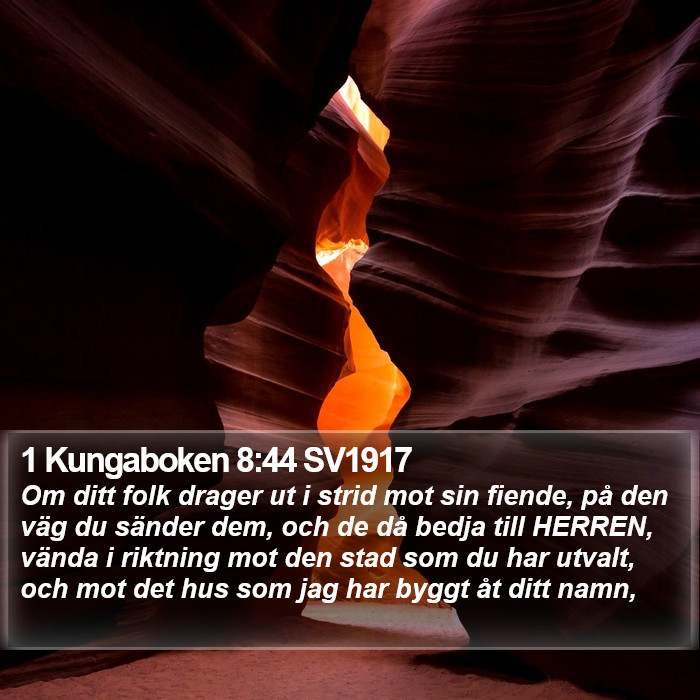 1 Kungaboken 8:44 SV1917 Bible Study