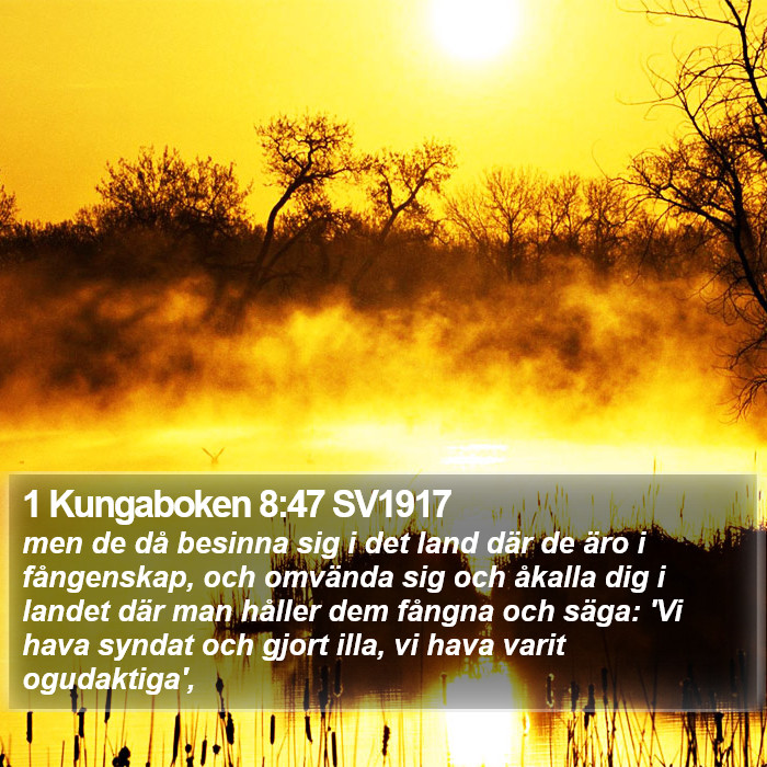 1 Kungaboken 8:47 SV1917 Bible Study