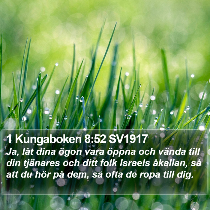 1 Kungaboken 8:52 SV1917 Bible Study