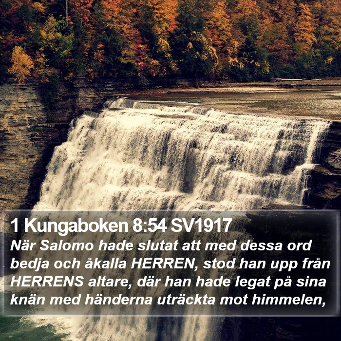 1 Kungaboken 8:54 SV1917 Bible Study