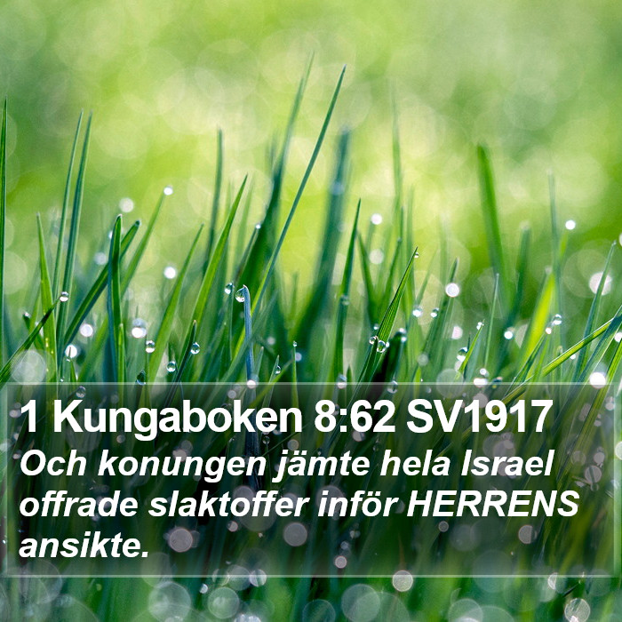 1 Kungaboken 8:62 SV1917 Bible Study