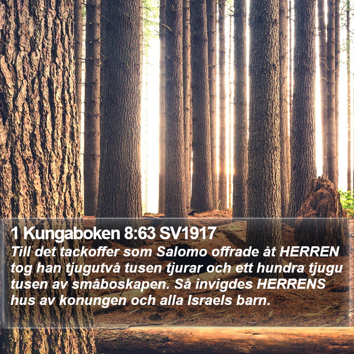 1 Kungaboken 8:63 SV1917 Bible Study