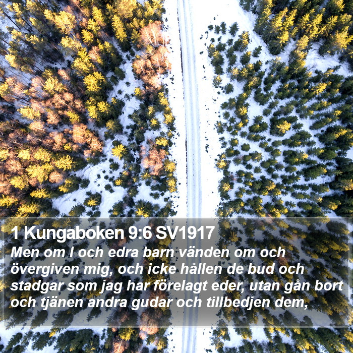 1 Kungaboken 9:6 SV1917 Bible Study