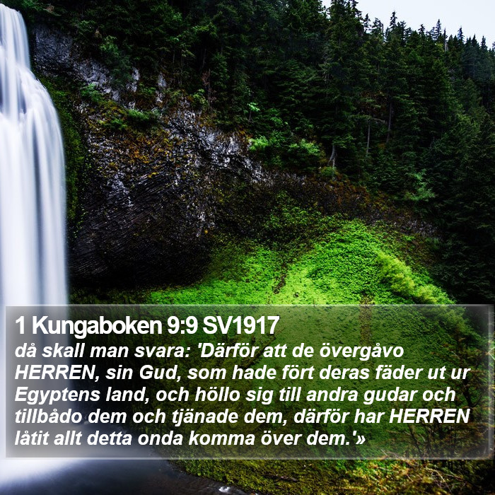 1 Kungaboken 9:9 SV1917 Bible Study