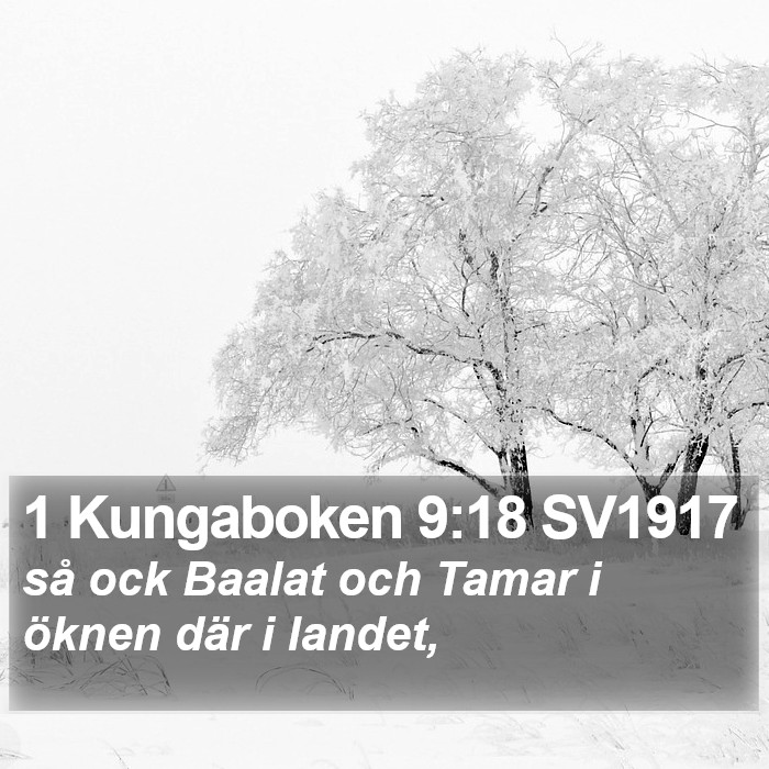 1 Kungaboken 9:18 SV1917 Bible Study