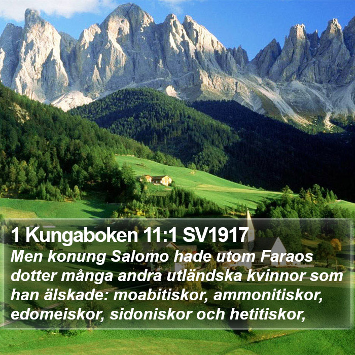 1 Kungaboken 11:1 SV1917 Bible Study