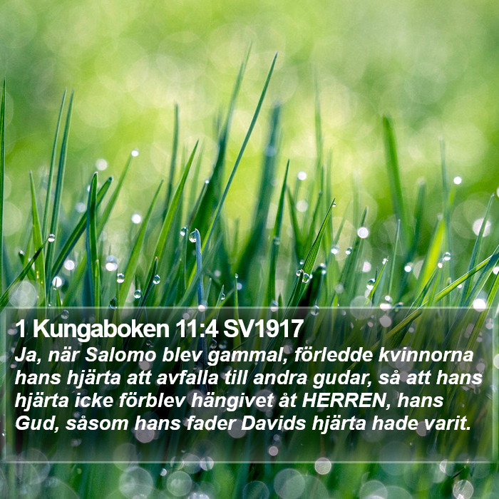1 Kungaboken 11:4 SV1917 Bible Study