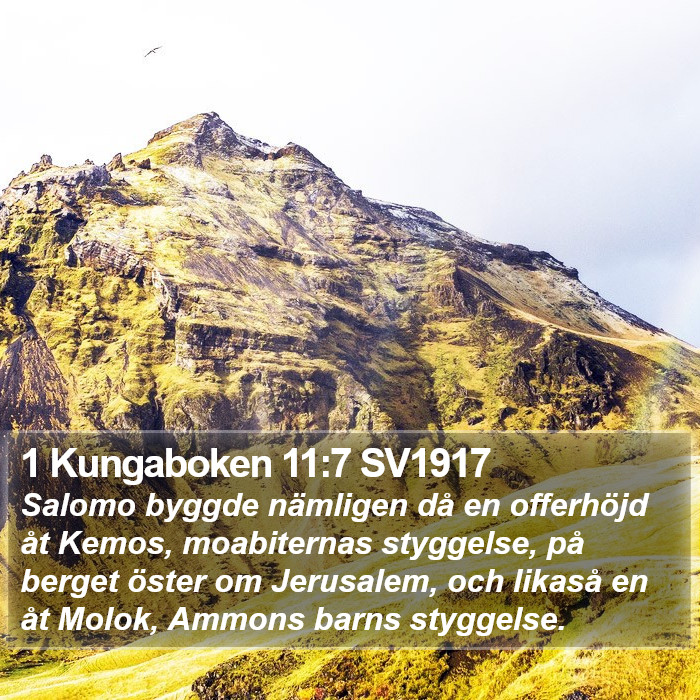 1 Kungaboken 11:7 SV1917 Bible Study