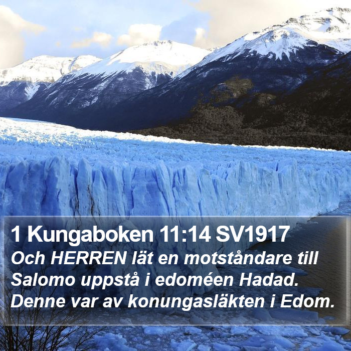 1 Kungaboken 11:14 SV1917 Bible Study