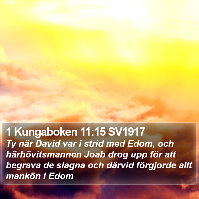 1 Kungaboken 11:15 SV1917 Bible Study