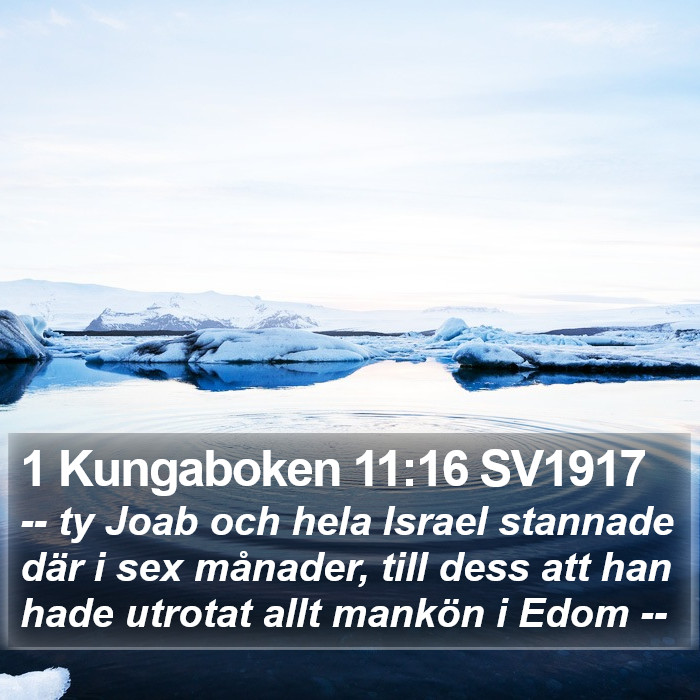1 Kungaboken 11:16 SV1917 Bible Study