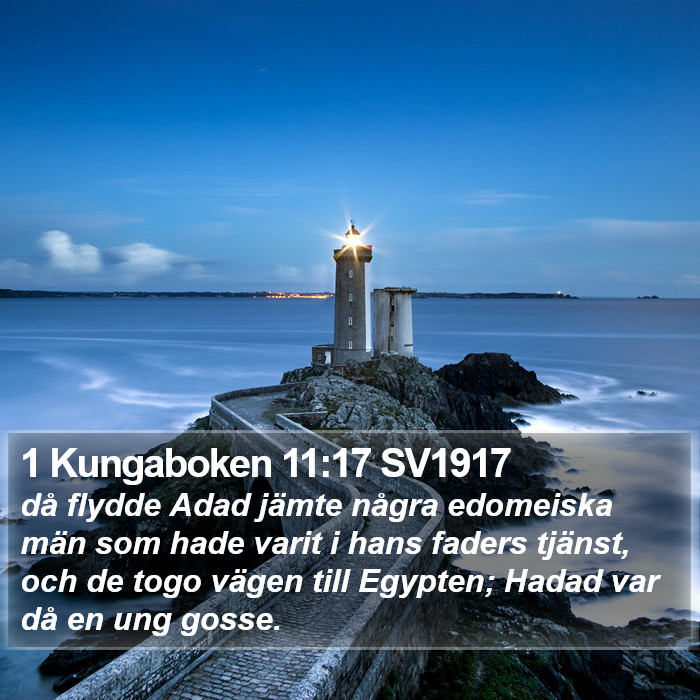 1 Kungaboken 11:17 SV1917 Bible Study