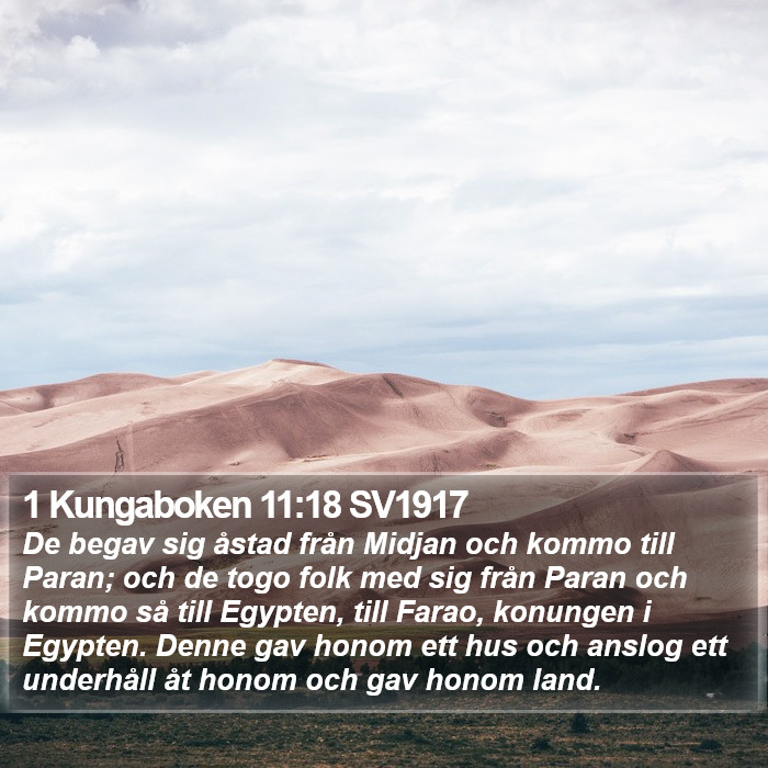 1 Kungaboken 11:18 SV1917 Bible Study