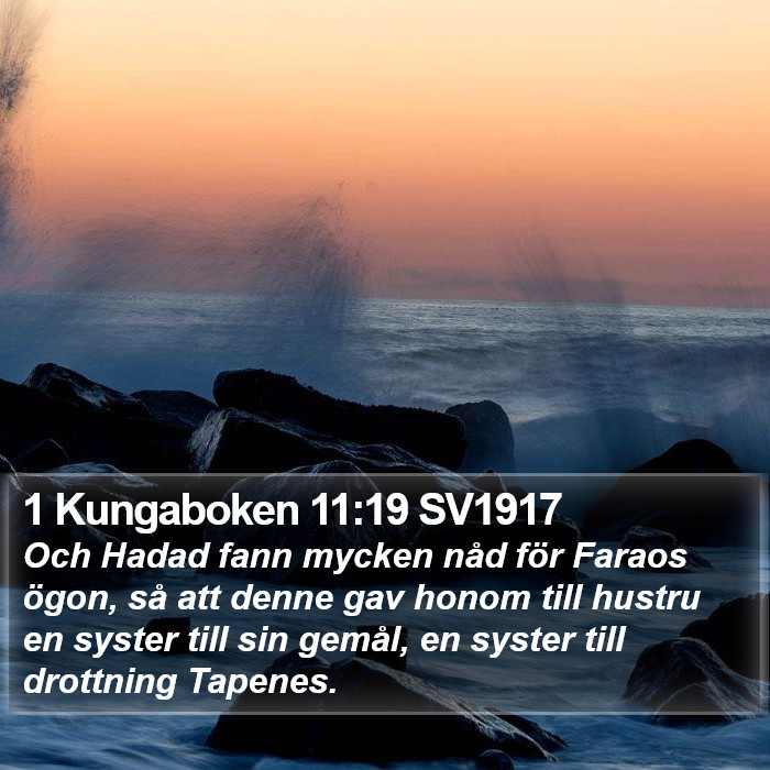 1 Kungaboken 11:19 SV1917 Bible Study