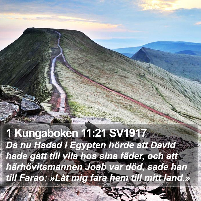 1 Kungaboken 11:21 SV1917 Bible Study