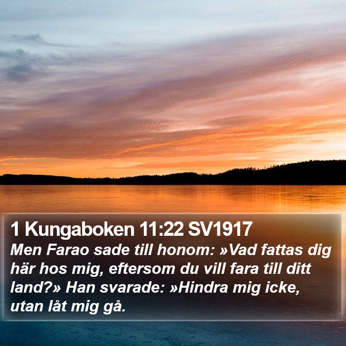 1 Kungaboken 11:22 SV1917 Bible Study