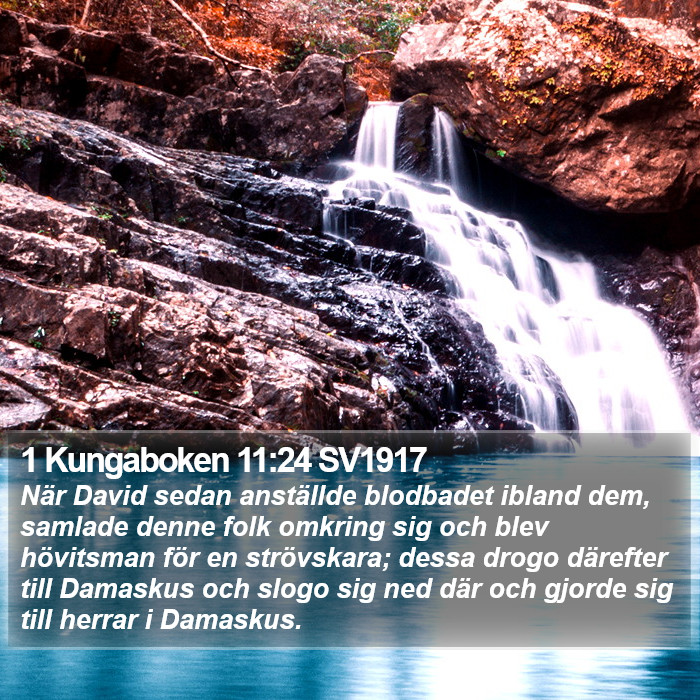 1 Kungaboken 11:24 SV1917 Bible Study