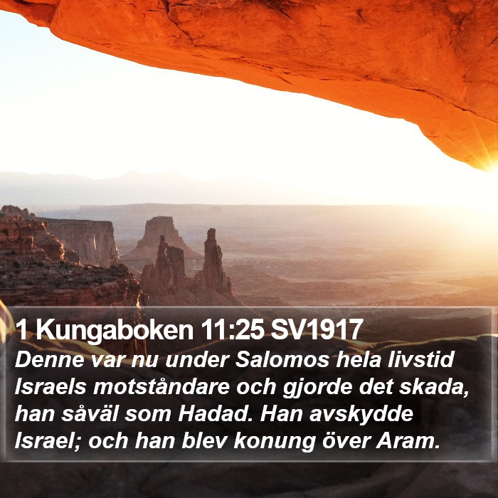 1 Kungaboken 11:25 SV1917 Bible Study