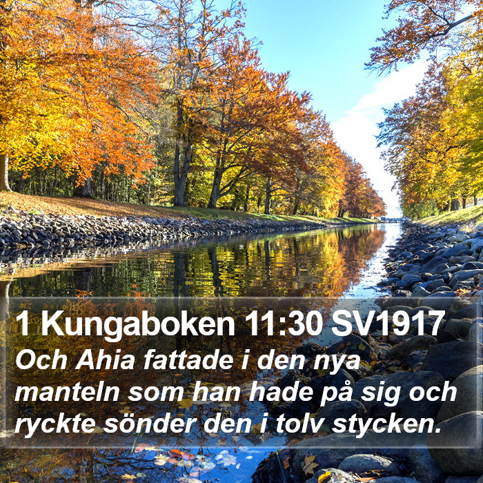 1 Kungaboken 11:30 SV1917 Bible Study