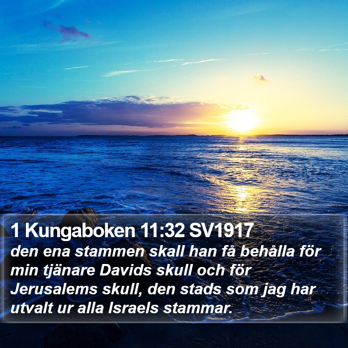 1 Kungaboken 11:32 SV1917 Bible Study