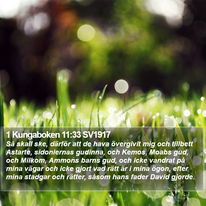 1 Kungaboken 11:33 SV1917 Bible Study