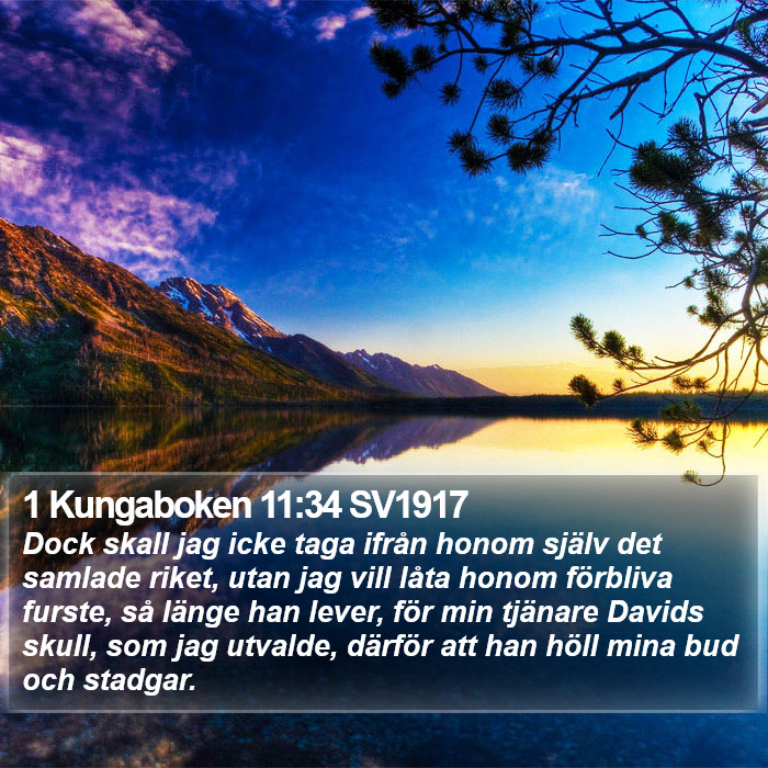 1 Kungaboken 11:34 SV1917 Bible Study