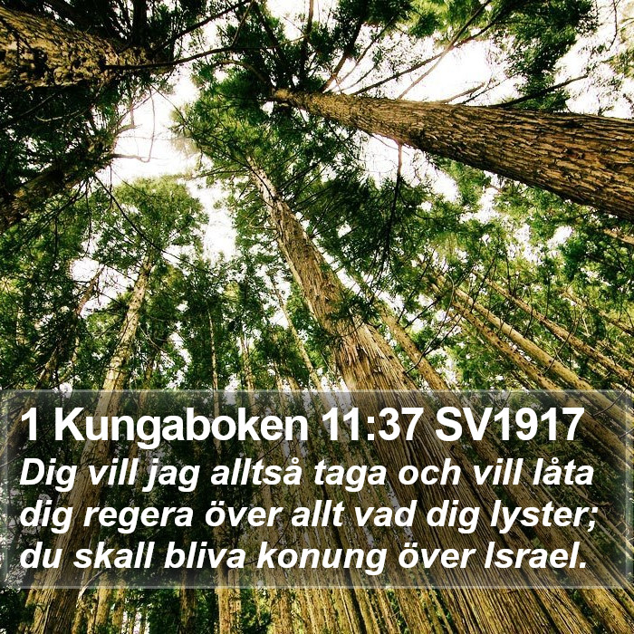 1 Kungaboken 11:37 SV1917 Bible Study