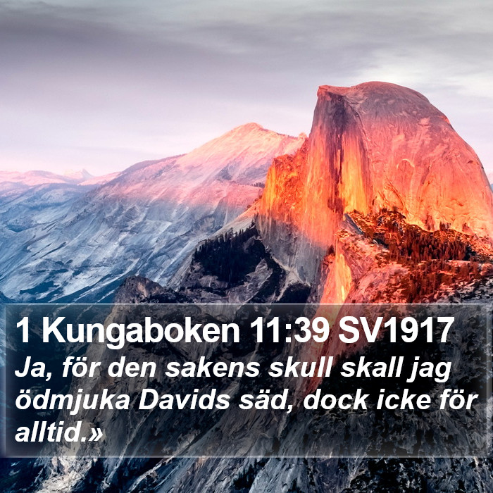 1 Kungaboken 11:39 SV1917 Bible Study