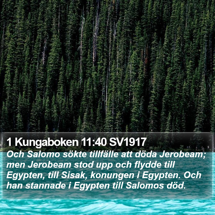 1 Kungaboken 11:40 SV1917 Bible Study