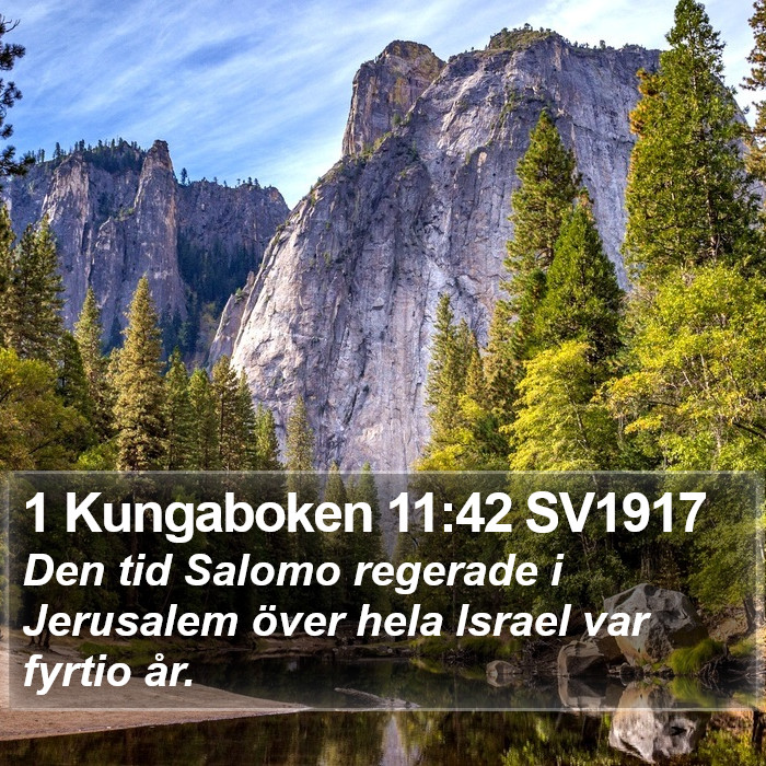 1 Kungaboken 11:42 SV1917 Bible Study