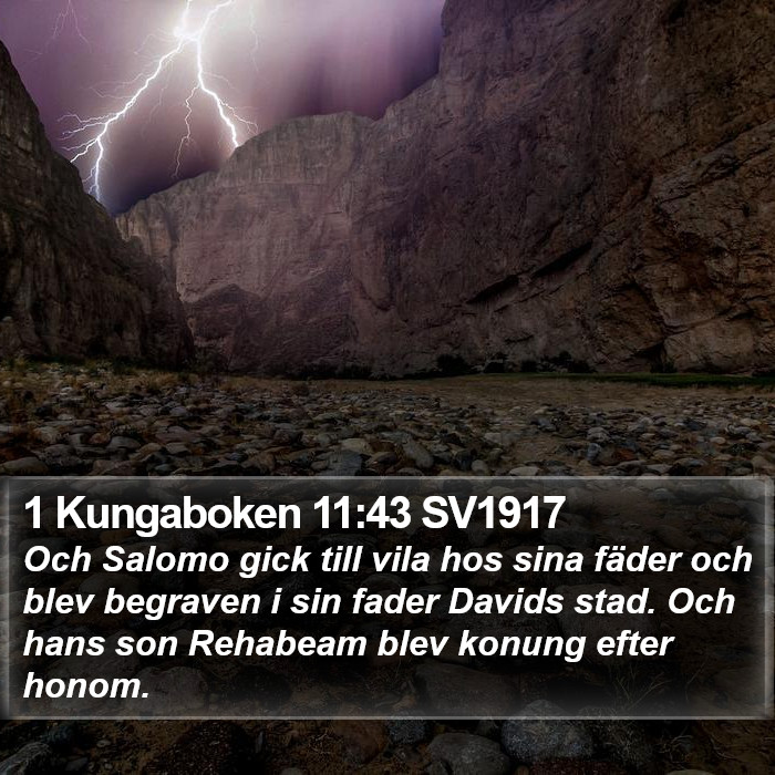 1 Kungaboken 11:43 SV1917 Bible Study