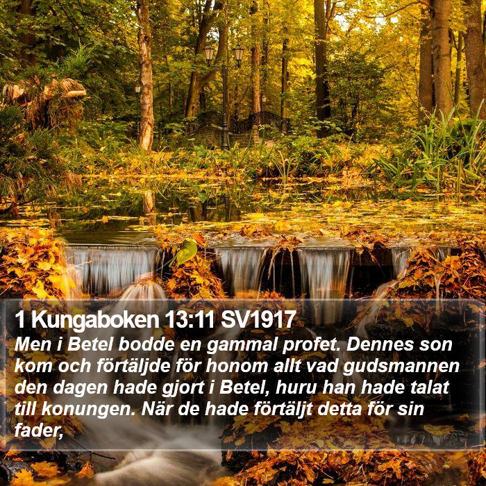 1 Kungaboken 13:11 SV1917 Bible Study