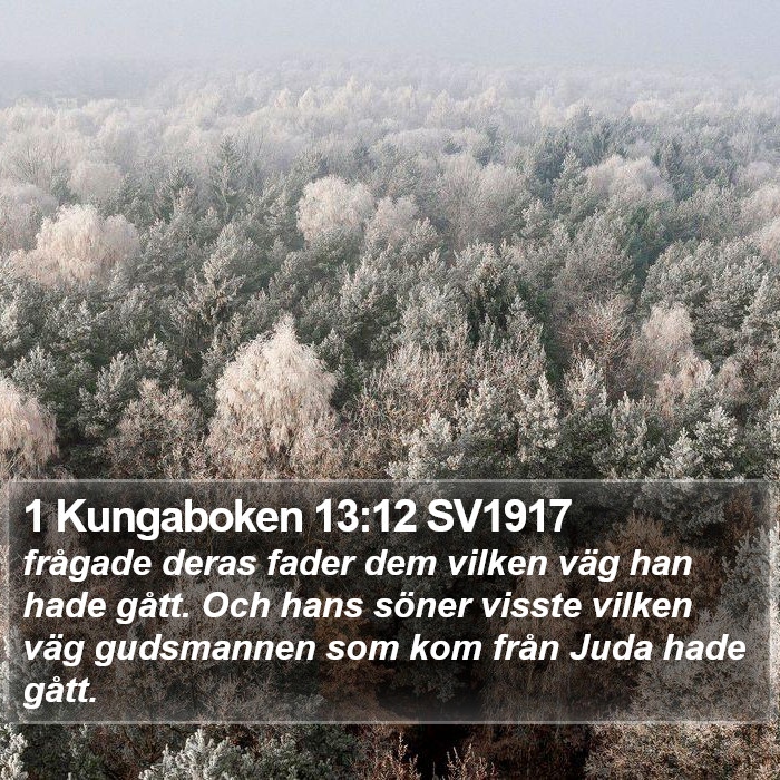 1 Kungaboken 13:12 SV1917 Bible Study