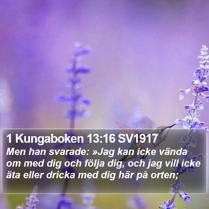 1 Kungaboken 13:16 SV1917 Bible Study