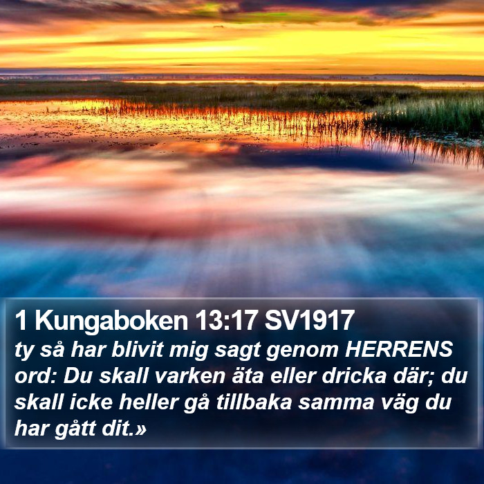 1 Kungaboken 13:17 SV1917 Bible Study