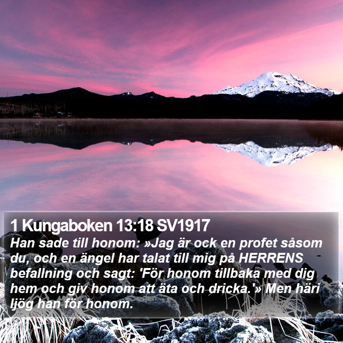1 Kungaboken 13:18 SV1917 Bible Study