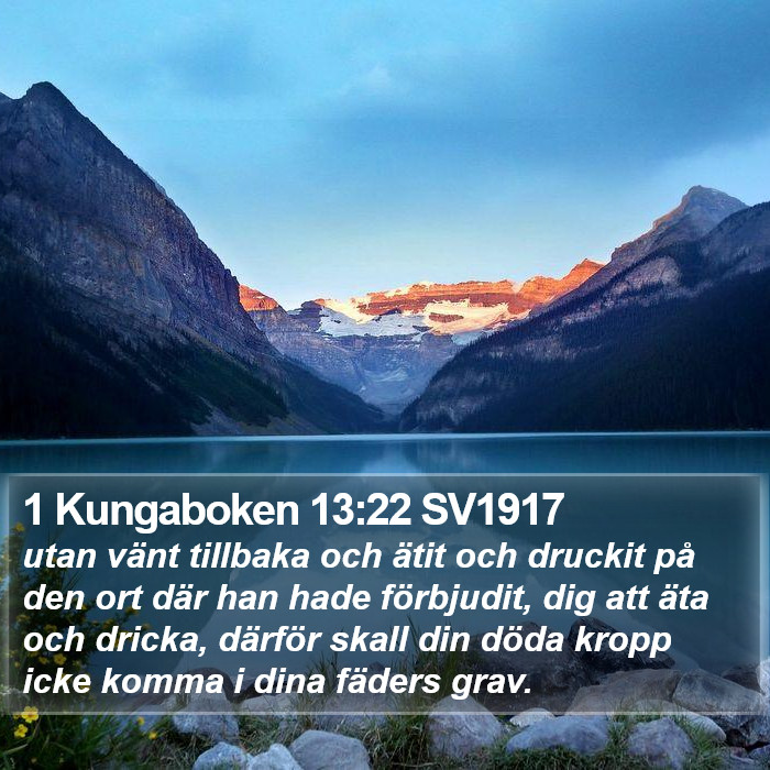 1 Kungaboken 13:22 SV1917 Bible Study