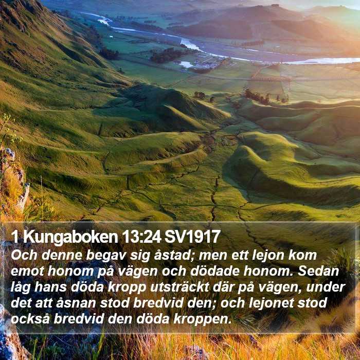1 Kungaboken 13:24 SV1917 Bible Study