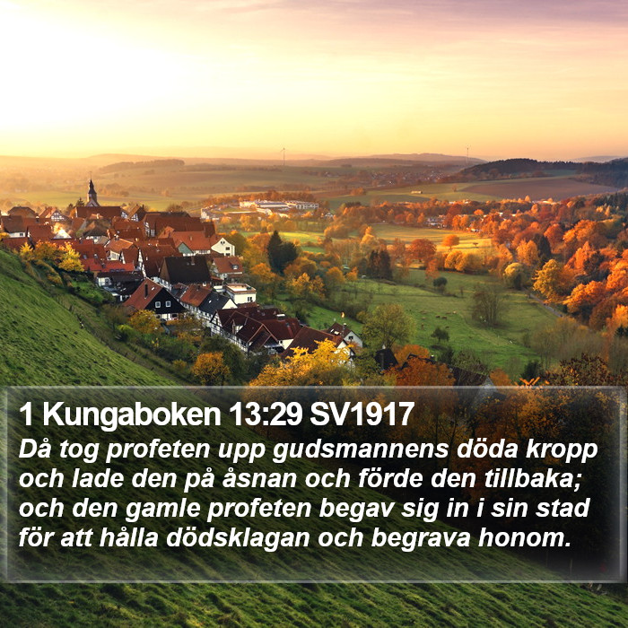 1 Kungaboken 13:29 SV1917 Bible Study