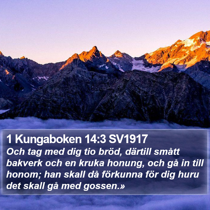 1 Kungaboken 14:3 SV1917 Bible Study