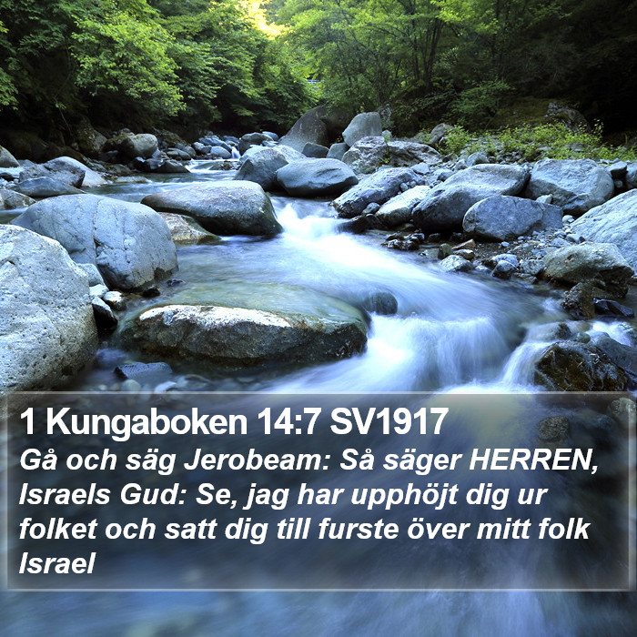 1 Kungaboken 14:7 SV1917 Bible Study