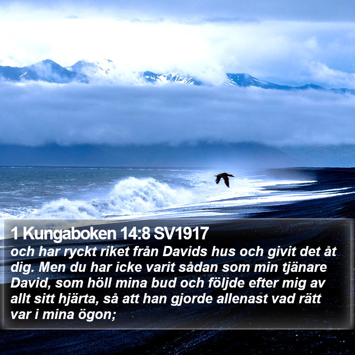 1 Kungaboken 14:8 SV1917 Bible Study