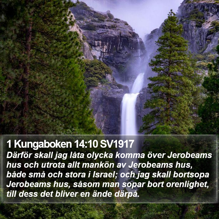 1 Kungaboken 14:10 SV1917 Bible Study