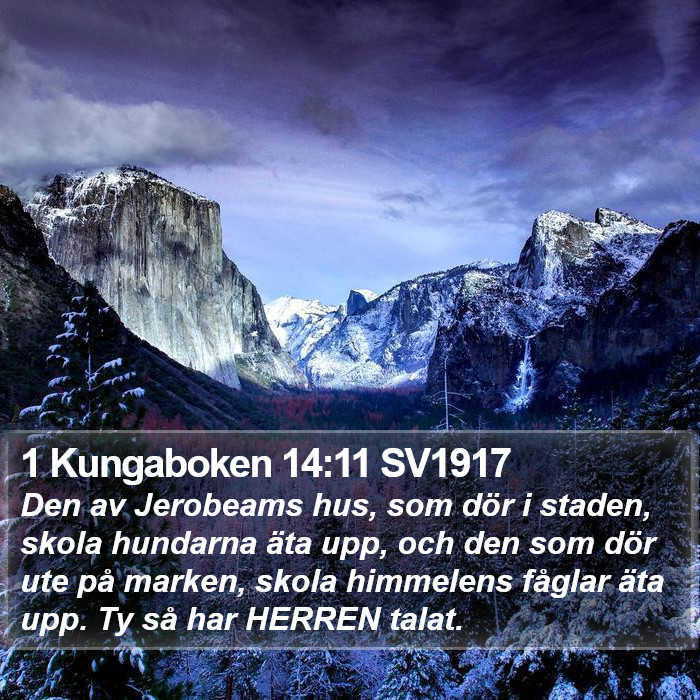 1 Kungaboken 14:11 SV1917 Bible Study