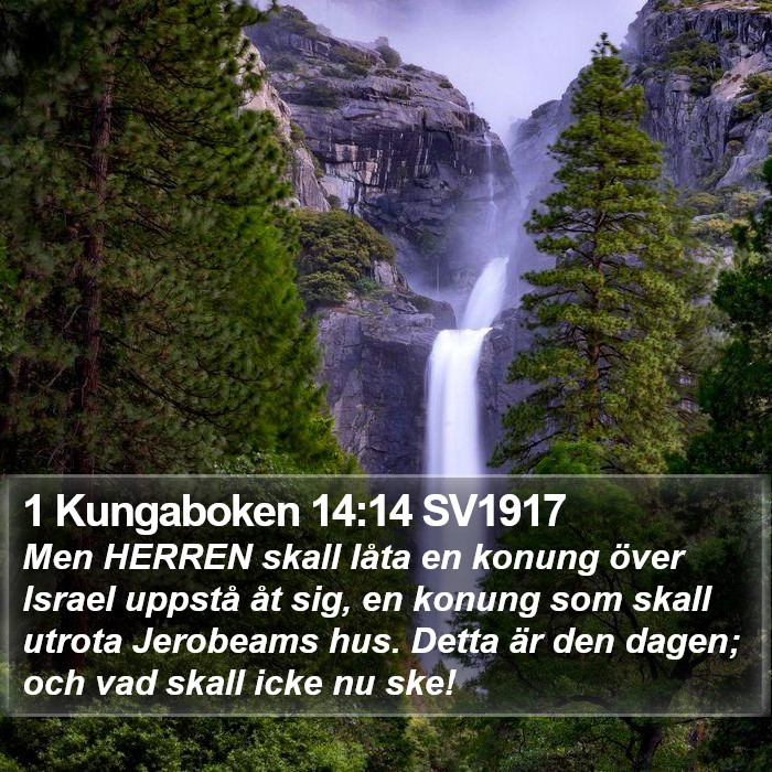 1 Kungaboken 14:14 SV1917 Bible Study