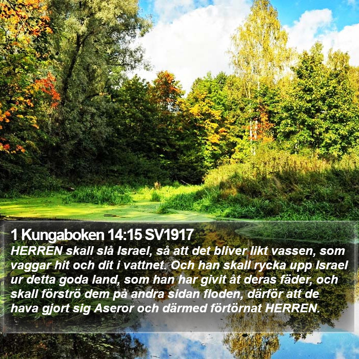 1 Kungaboken 14:15 SV1917 Bible Study