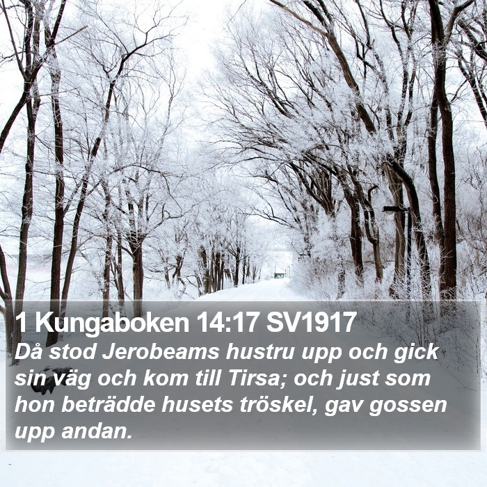 1 Kungaboken 14:17 SV1917 Bible Study