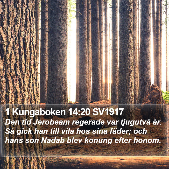 1 Kungaboken 14:20 SV1917 Bible Study