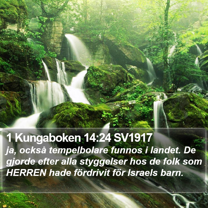 1 Kungaboken 14:24 SV1917 Bible Study